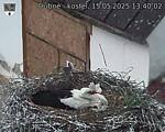 Capi_Dubne_20250515_134002.jpg