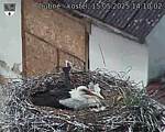 Capi_Dubne_20250515_141002.jpg
