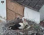 Capi_Dubne_20250515_143003.jpg