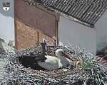 Capi_Dubne_20250515_150003.jpg