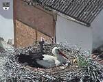 Capi_Dubne_20250515_150503.jpg