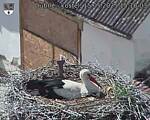 Capi_Dubne_20250515_151003.jpg