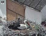 Capi_Dubne_20250515_152503.jpg