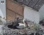 Capi_Dubne_20250515_153003.jpg