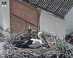 Capi_Dubne_20250515_155003.jpg