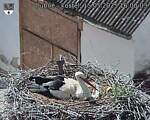 Capi_Dubne_20250515_160003.jpg