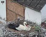 Capi_Dubne_20250515_160503.jpg