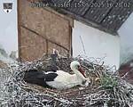 Capi_Dubne_20250515_162002.jpg