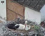 Capi_Dubne_20250515_163002.jpg