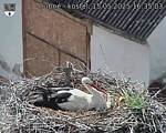 Capi_Dubne_20250515_163503.jpg