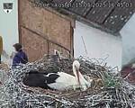 Capi_Dubne_20250515_164503.jpg