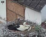 Capi_Dubne_20250515_170003.jpg