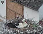 Capi_Dubne_20250515_170503.jpg