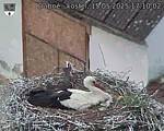 Capi_Dubne_20250515_171002.jpg