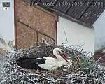 Capi_Dubne_20250515_171503.jpg