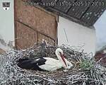 Capi_Dubne_20250515_172003.jpg