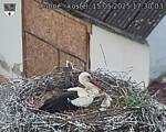 Capi_Dubne_20250515_173003.jpg