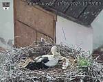 Capi_Dubne_20250515_175503.jpg