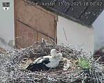 Capi_Dubne_20250515_180002.jpg