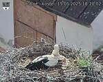 Capi_Dubne_20250515_182002.jpg