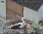 Capi_Dubne_20250515_183503.jpg