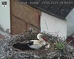 Capi_Dubne_20250515_190003.jpg