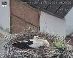 Capi_Dubne_20250515_192502.jpg