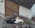 Capi_Dubne_20250515_193502.jpg