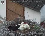Capi_Dubne_20250515_194003.jpg