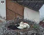 Capi_Dubne_20250515_195502.jpg