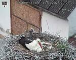 Capi_Dubne_20250515_202503.jpg