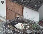 Capi_Dubne_20250515_203003.jpg