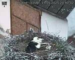 Capi_Dubne_20250515_204002.jpg