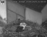 Capi_Dubne_20250515_210503.jpg