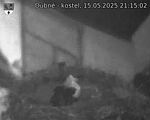 Capi_Dubne_20250515_211502.jpg