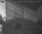 Capi_Dubne_20250515_224502.jpg
