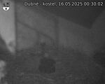 Capi_Dubne_20250516_003002.jpg