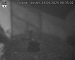 Capi_Dubne_20250516_003502.jpg
