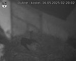 Capi_Dubne_20250516_022002.jpg