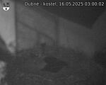 Capi_Dubne_20250516_030002.jpg