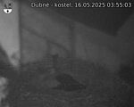 Capi_Dubne_20250516_035503.jpg