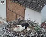 Capi_Dubne_20250516_082004.jpg