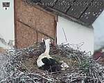 Capi_Dubne_20250516_091002.jpg