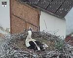 Capi_Dubne_20250516_091502.jpg