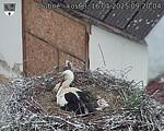 Capi_Dubne_20250516_092004.jpg