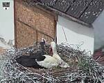 Capi_Dubne_20250516_124503.jpg