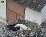 Capi_Dubne_20250516_125002.jpg