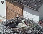Capi_Dubne_20250516_131502.jpg