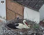 Capi_Dubne_20250516_133004.jpg