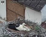 Capi_Dubne_20250516_134503.jpg